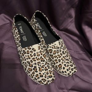 Brand new cheetah Tom’s